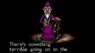 Скриншот 1 к игре Shining in the Darkness