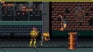 Скриншот 5 к игре Streets of Rage