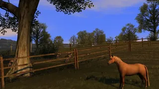 Скриншот 2 к игре Agricultural Simulator 2011: Extended Edition