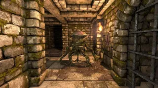 Скриншот 8 к игре Legend of Grimrock