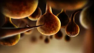 Скриншот 8 к игре Botanicula