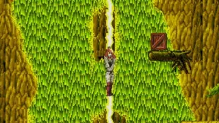 Скриншот 5 к игре The Revenge of Shinobi