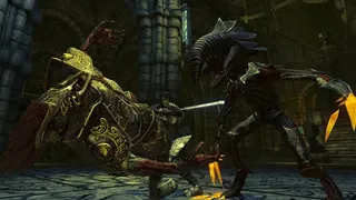 Скриншот 2 к игре Divinity II: Developer's Cut
