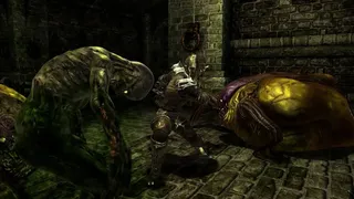 Скриншот 8 к игре Divinity II: Developer's Cut