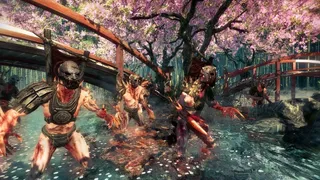 Скриншот 5 к игре Shadow Warrior