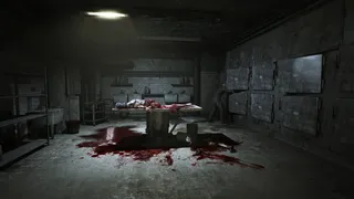 Скриншот 3 к игре Outlast