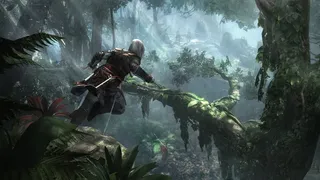 Скриншот 5 к игре Assassin’s Creed IV Black Flag