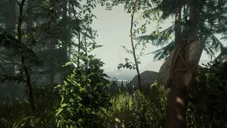 Скриншот 8 к игре The Forest