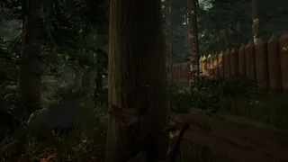Скриншот 11 к игре The Forest