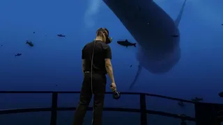 Скриншот 1 к игре SteamVR
