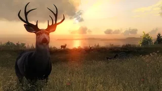 Скриншот 3 к игре theHunter Classic