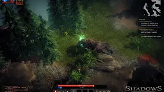 Скриншот 8 к игре Shadows: Heretic Kingdoms