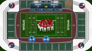 Скриншот 5 к игре Gridiron Solitaire