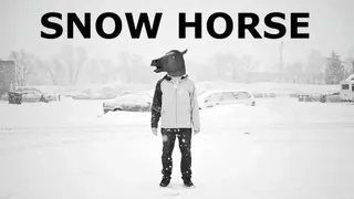 Скриншот 5 к игре Snow Horse