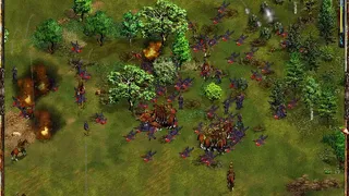 Скриншот 7 к игре The Entente Gold