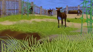 Скриншот 5 к игре Zoo Empire