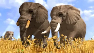 Скриншот 1 к игре Wildlife Park 3