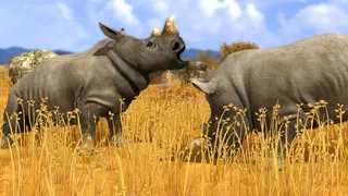 Скриншот 7 к игре Wildlife Park 3