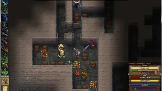 Скриншот 3 к игре Dungeonmans