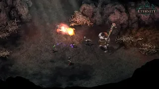Скриншот 6 к игре Pillars of Eternity