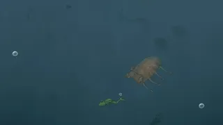 Скриншот 1 к игре They Breathe