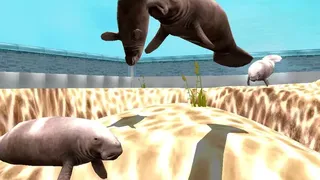 Скриншот 6 к игре Marine Park Empire