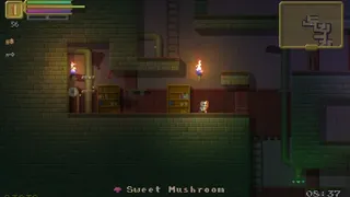 Скриншот 6 к игре The Dungeoning