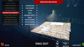 Скриншот 3 к игре Pro Wrestling X