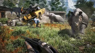 Скриншот 8 к игре Far Cry 4