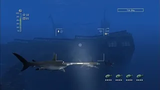 Скриншот 4 к игре Reef Shot