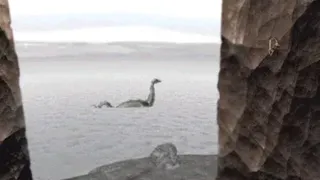 Скриншот 3 к игре The Cameron Files: The Secret at Loch Ness
