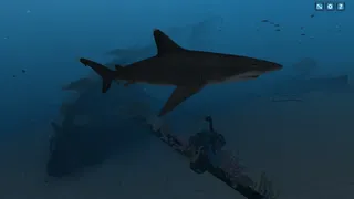 Скриншот 8 к игре Infinite Scuba