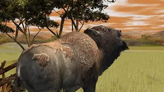 Скриншот 2 к игре Wildlife Park 2 - Crazy Zoo