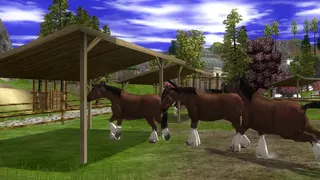 Скриншот 3 к игре Wildlife Park 2 - Horses