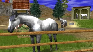 Скриншот 5 к игре Wildlife Park 2 - Horses