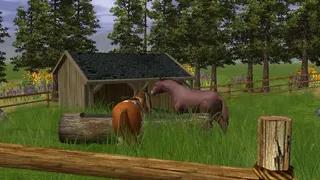 Скриншот 7 к игре Wildlife Park 2 - Horses