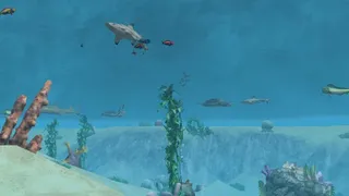 Скриншот 6 к игре Wildlife Park 2 - Marine World