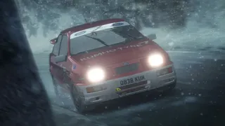 Скриншот 11 к игре DiRT Rally
