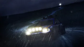 Скриншот 12 к игре DiRT Rally