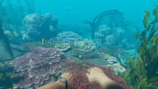 Скриншот 3 к игре Stranded Deep