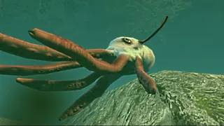 Скриншот 6 к игре Zen Fish SIM