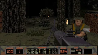 Скриншот 2 к игре NAM