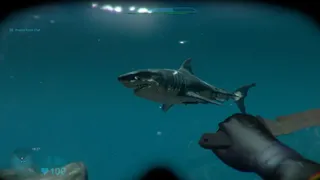 Скриншот 8 к игре Shark Attack Deathmatch 2