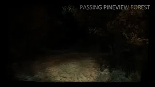 Скриншот 1 к игре Passing Pineview Forest