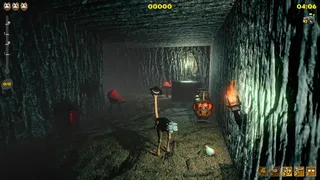 Скриншот 8 к игре Ostrich Island