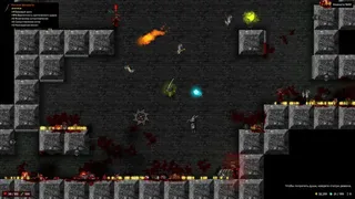 Скриншот 3 к игре Tallowmere