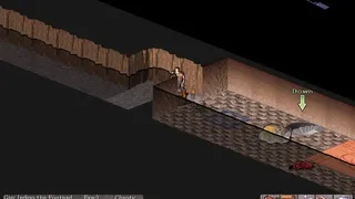 Скриншот 4 к игре Vulture for NetHack
