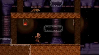 Скриншот 5 к игре Camera Obscura