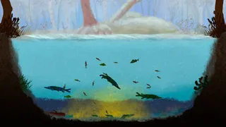 Скриншот 5 к игре Among Ripples