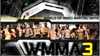 Скриншот 7 к игре World of Mixed Martial Arts 3